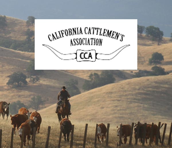 California Cattleman's Association